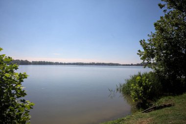 Güneşli bir günde iki ağaç tarafından çerçevelenmiş kıyıdan görülebilen bir göl.