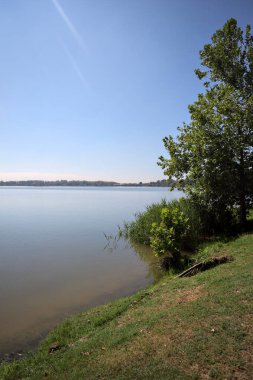Güneşli bir günde iki ağaç tarafından çerçevelenmiş kıyıdan görülebilen bir göl.