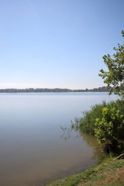 Güneşli bir günde iki ağaç tarafından çerçevelenmiş kıyıdan görülebilen bir göl.