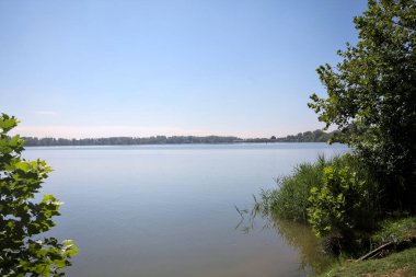 Güneşli bir günde iki ağaç tarafından çerçevelenmiş kıyıdan görülebilen bir göl.