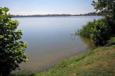 Güneşli bir günde iki ağaç tarafından çerçevelenmiş kıyıdan görülebilen bir göl.