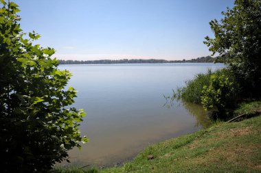 Güneşli bir günde iki ağaç tarafından çerçevelenmiş kıyıdan görülebilen bir göl.
