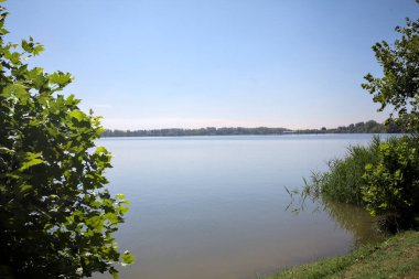 Güneşli bir günde iki ağaç tarafından çerçevelenmiş kıyıdan görülebilen bir göl.