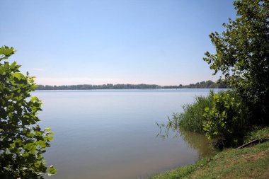 Güneşli bir günde iki ağaç tarafından çerçevelenmiş kıyıdan görülebilen bir göl.