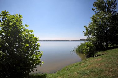 Güneşli bir günde iki ağaç tarafından çerçevelenmiş kıyıdan görülebilen bir göl.