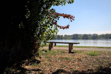 Gölün kıyısındaki çimenlikte bir bank. Ufukta karşı kıyıda parkı olan bir ağaç tarafından çerçevelenmiş.