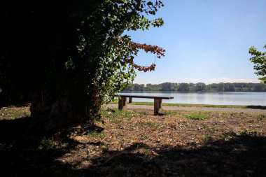 Gölün kıyısındaki çimenlikte bir bank. Ufukta karşı kıyıda parkı olan bir ağaç tarafından çerçevelenmiş.