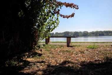 Gölün kıyısındaki çimenlikte bir bank. Ufukta karşı kıyıda parkı olan bir ağaç tarafından çerçevelenmiş.