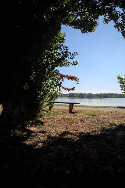 Gölün kıyısındaki çimenlikte bir bank. Ufukta karşı kıyıda parkı olan bir ağaç tarafından çerçevelenmiş.