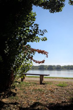 Gölün kıyısındaki çimenlikte bir bank. Ufukta karşı kıyıda parkı olan bir ağaç tarafından çerçevelenmiş.