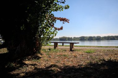 Gölün kıyısındaki çimenlikte bir bank. Ufukta karşı kıyıda parkı olan bir ağaç tarafından çerçevelenmiş.