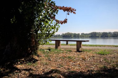 Gölün kıyısındaki çimenlikte bir bank. Ufukta karşı kıyıda parkı olan bir ağaç tarafından çerçevelenmiş.