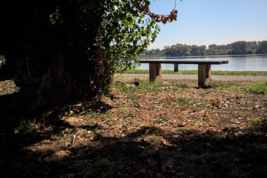 Gölün kıyısındaki çimenlikte bir bank. Ufukta karşı kıyıda parkı olan bir ağaç tarafından çerçevelenmiş.