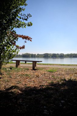 Gölün kıyısındaki çimenlikte bir bank. Ufukta karşı kıyıda parkı olan bir ağaç tarafından çerçevelenmiş.