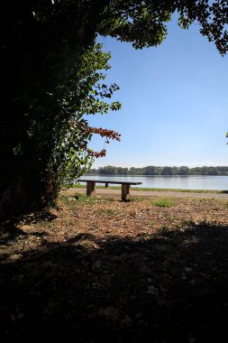 Gölün kıyısındaki çimenlikte bir bank. Ufukta karşı kıyıda parkı olan bir ağaç tarafından çerçevelenmiş.