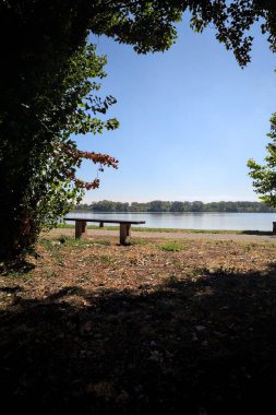 Gölün kıyısındaki çimenlikte bir bank. Ufukta karşı kıyıda parkı olan bir ağaç tarafından çerçevelenmiş.