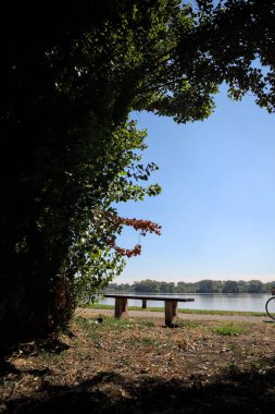 Gölün kıyısındaki çimenlikte bir bank. Ufukta karşı kıyıda parkı olan bir ağaç tarafından çerçevelenmiş.