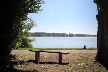 Gölün kıyısındaki çimenlikte bir bank. Ufukta karşı kıyıda parkı olan bir ağaç tarafından çerçevelenmiş.