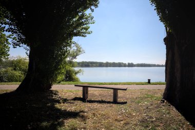 Gölün kıyısındaki çimenlikte bir bank. Ufukta karşı kıyıda parkı olan bir ağaç tarafından çerçevelenmiş.