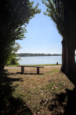 Gölün kıyısındaki çimenlikte bir bank. Ufukta karşı kıyıda parkı olan bir ağaç tarafından çerçevelenmiş.