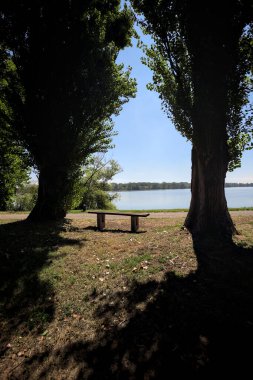 Gölün kıyısındaki çimenlikte bir bank. Ufukta karşı kıyıda parkı olan bir ağaç tarafından çerçevelenmiş.