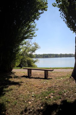 Gölün kıyısındaki çimenlikte bir bank. Ufukta karşı kıyıda parkı olan bir ağaç tarafından çerçevelenmiş.