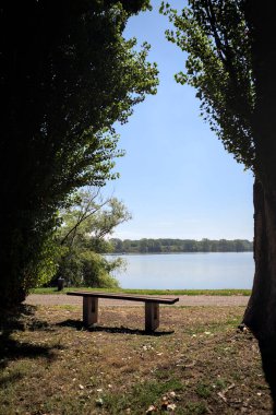 Gölün kıyısındaki çimenlikte bir bank. Ufukta karşı kıyıda parkı olan bir ağaç tarafından çerçevelenmiş.