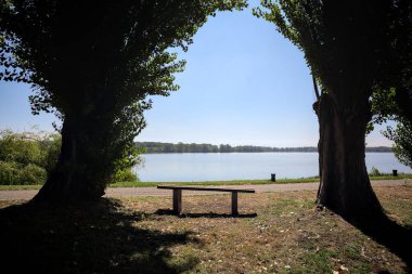 Gölün kıyısındaki çimenlikte bir bank. Ufukta karşı kıyıda parkı olan bir ağaç tarafından çerçevelenmiş.