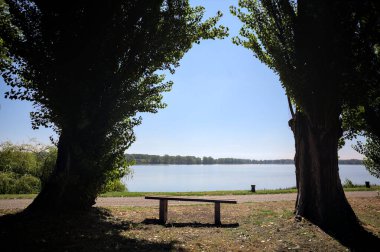 Gölün kıyısındaki çimenlikte bir bank. Ufukta karşı kıyıda parkı olan bir ağaç tarafından çerçevelenmiş.
