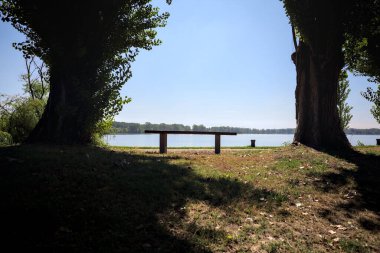 Gölün kıyısındaki çimenlikte bir bank. Ufukta karşı kıyıda parkı olan bir ağaç tarafından çerçevelenmiş.