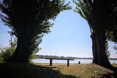 Gölün kıyısındaki çimenlikte bir bank. Ufukta karşı kıyıda parkı olan bir ağaç tarafından çerçevelenmiş.