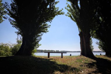 Gölün kıyısındaki çimenlikte bir bank. Ufukta karşı kıyıda parkı olan bir ağaç tarafından çerçevelenmiş.