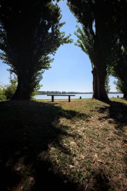 Gölün kıyısındaki çimenlikte bir bank. Ufukta karşı kıyıda parkı olan bir ağaç tarafından çerçevelenmiş.