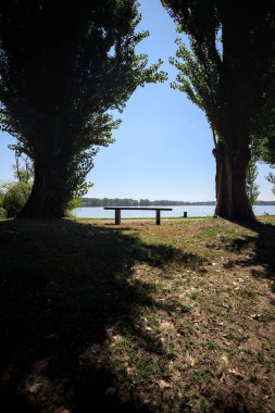 Gölün kıyısındaki çimenlikte bir bank. Ufukta karşı kıyıda parkı olan bir ağaç tarafından çerçevelenmiş.