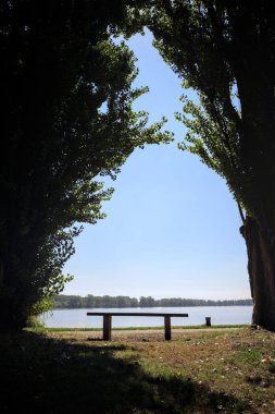 Gölün kıyısındaki çimenlikte bir bank. Ufukta karşı kıyıda parkı olan bir ağaç tarafından çerçevelenmiş.
