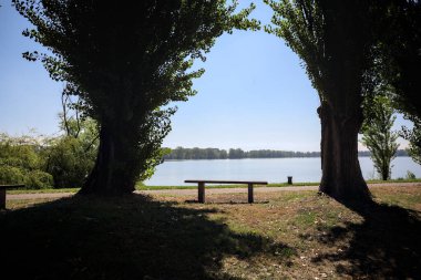 Gölün kıyısındaki çimenlikte bir bank. Ufukta karşı kıyıda parkı olan bir ağaç tarafından çerçevelenmiş.