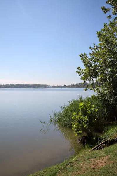Güneşli bir günde iki ağaç tarafından çerçevelenmiş kıyıdan görülebilen bir göl.