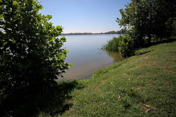 Güneşli bir günde iki ağaç tarafından çerçevelenmiş kıyıdan görülebilen bir göl.