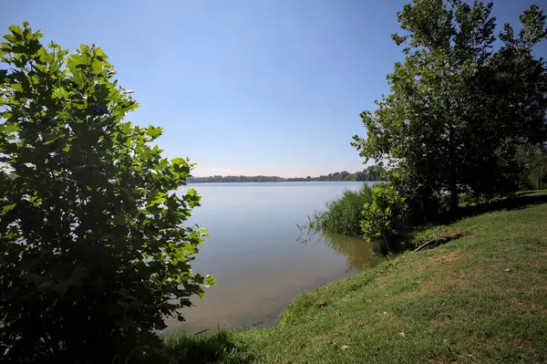 Güneşli bir günde iki ağaç tarafından çerçevelenmiş kıyıdan görülebilen bir göl.