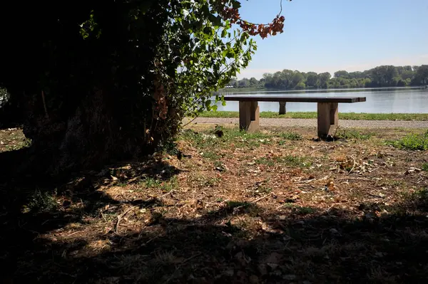 Gölün kıyısındaki çimenlikte bir bank. Ufukta karşı kıyıda parkı olan bir ağaç tarafından çerçevelenmiş.