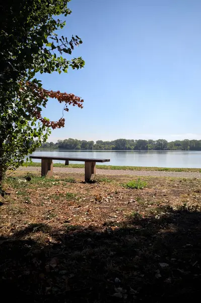 Gölün kıyısındaki çimenlikte bir bank. Ufukta karşı kıyıda parkı olan bir ağaç tarafından çerçevelenmiş.