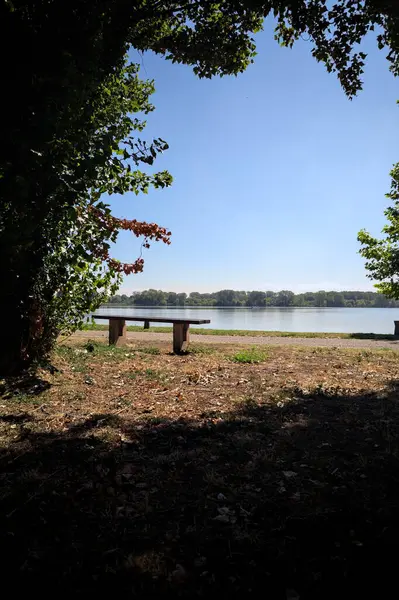 Gölün kıyısındaki çimenlikte bir bank. Ufukta karşı kıyıda parkı olan bir ağaç tarafından çerçevelenmiş.