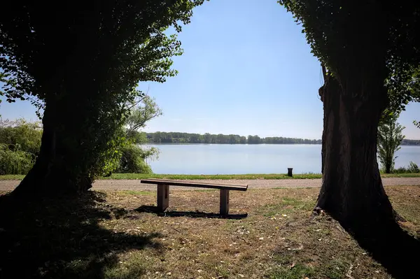 Gölün kıyısındaki çimenlikte bir bank. Ufukta karşı kıyıda parkı olan bir ağaç tarafından çerçevelenmiş.