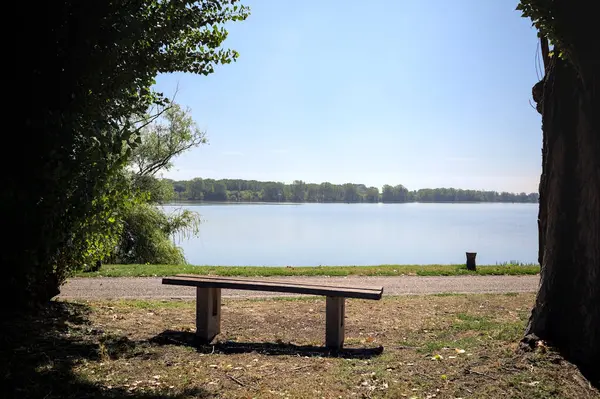 Gölün kıyısındaki çimenlikte bir bank. Ufukta karşı kıyıda parkı olan bir ağaç tarafından çerçevelenmiş.