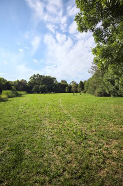 Uzakta büyüyen ağaçlarla dolu bir tarla güneşli bir günde bir ormanla çevrili.