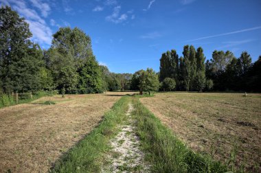 Çimlerle çevrili çakıl taşlı bir patika. Kenarında bir ağaç var. Güneşli bir günde, İtalya 'nın kırsal kesiminde bir parkın içinden geçiyor.