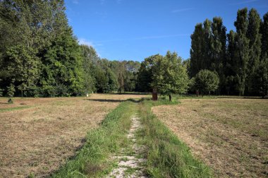 Çimlerle çevrili çakıl taşlı bir patika. Kenarında bir ağaç var. Güneşli bir günde, İtalya 'nın kırsal kesiminde bir parkın içinden geçiyor.