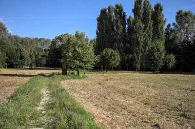 Çimlerle çevrili çakıl taşlı bir patika. Kenarında bir ağaç var. Güneşli bir günde, İtalya 'nın kırsal kesiminde bir parkın içinden geçiyor.
