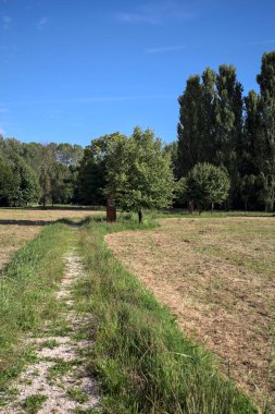 Çimlerle çevrili çakıl taşlı bir patika. Kenarında bir ağaç var. Güneşli bir günde, İtalya 'nın kırsal kesiminde bir parkın içinden geçiyor.