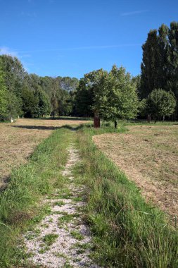 Çimlerle çevrili çakıl taşlı bir patika. Kenarında bir ağaç var. Güneşli bir günde, İtalya 'nın kırsal kesiminde bir parkın içinden geçiyor.